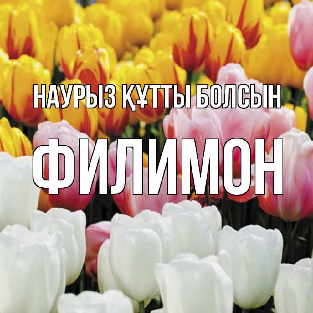 Күн сайын ашық хат с именем, Филимон Наурыз құтты болсын разноцветные цветы Онлайн тегін жүктеп алу тілектері бар керемет карта 