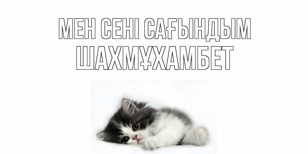 Күн сайын ашық хат с именем, ШАХМҰХАМБЕТ Мен сені сағындым кот, скука Онлайн тегін жүктеп алу тілектері бар керемет карта 