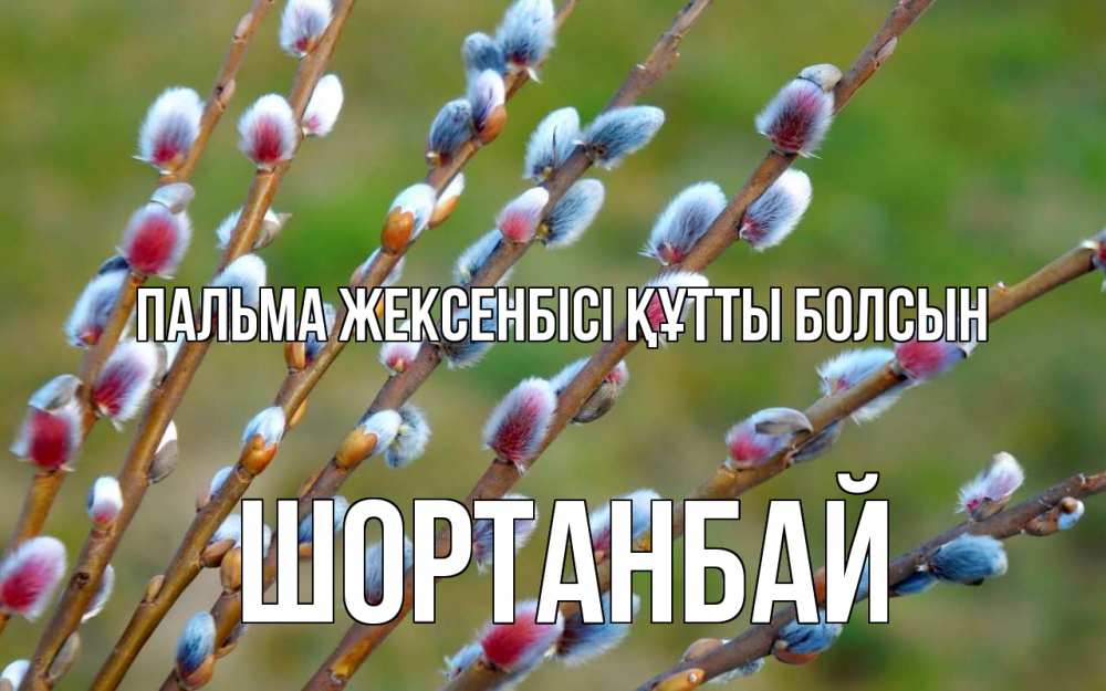 Күн сайын ашық хат с именем, ШОРТАНБАЙ Пальма жексенбісі құтты болсын верба Онлайн тегін жүктеп алу тілектері бар керемет карта 
