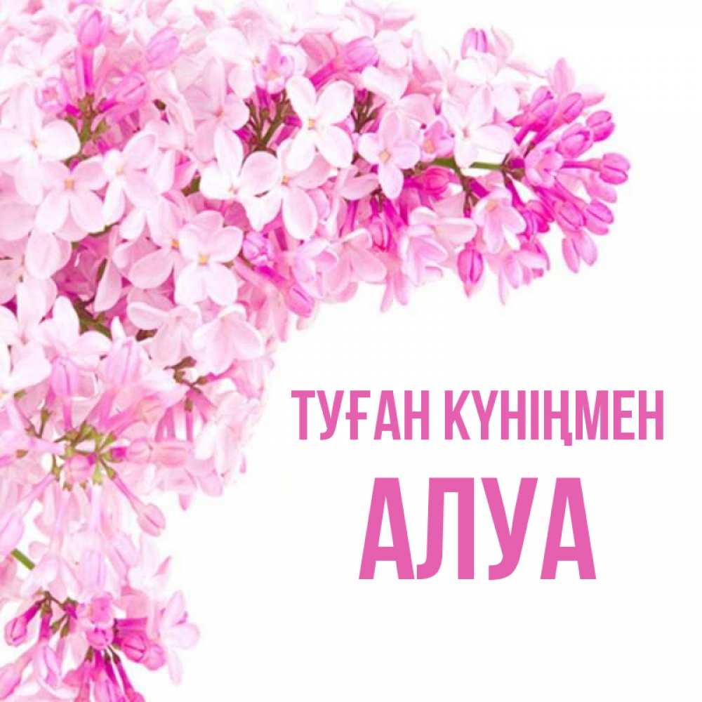 Күн сайын ашық хат с именем, АЛУА Туған күніңмен Сирень на белом фоне Онлайн тегін жүктеп алу тілектері бар керемет карта 