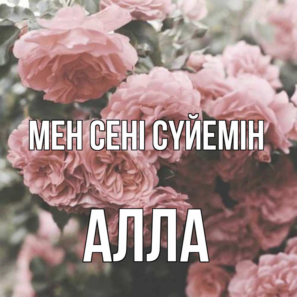 Күн сайын ашық хат с именем, Алла Мен сені сүйемін розы 3 Онлайн тегін жүктеп алу тілектері бар керемет карта 