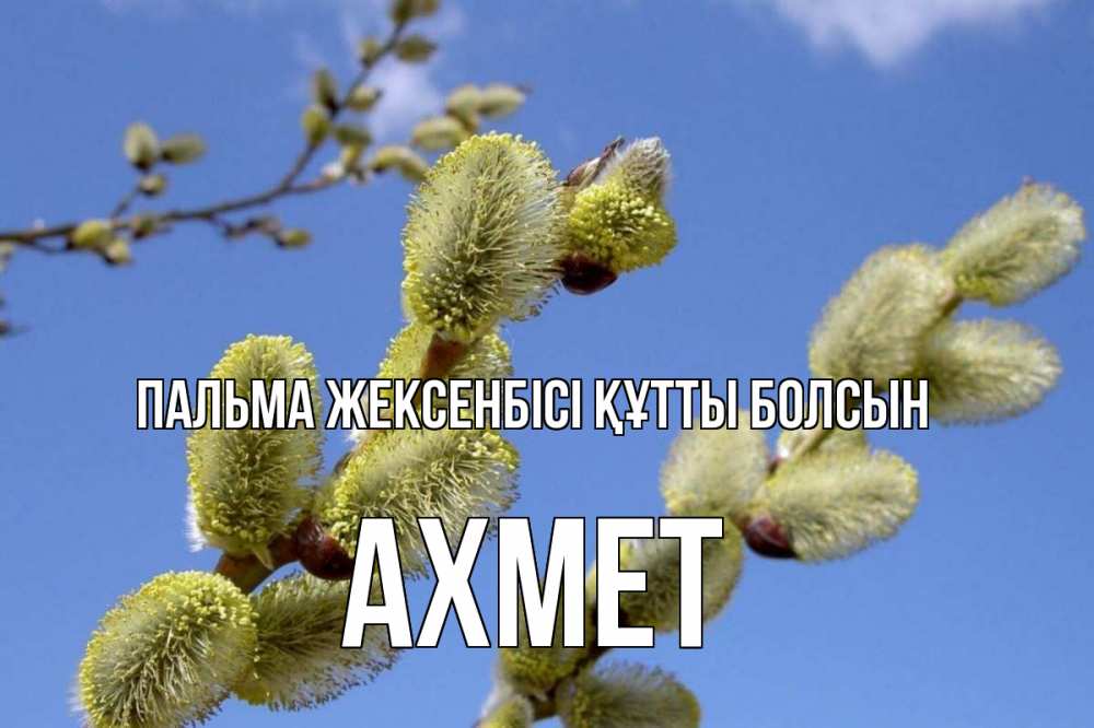 Күн сайын ашық хат с именем, Ахмет Пальма жексенбісі құтты болсын верба Онлайн тегін жүктеп алу тілектері бар керемет карта 