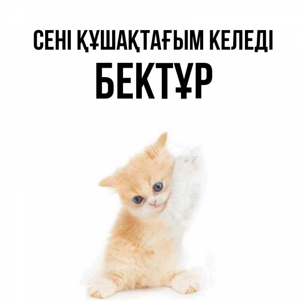 Күн сайын ашық хат с именем, Бектұр сені құшақтағым келеді я хочу очень скорее обнимаешек Онлайн тегін жүктеп алу тілектері бар керемет карта 
