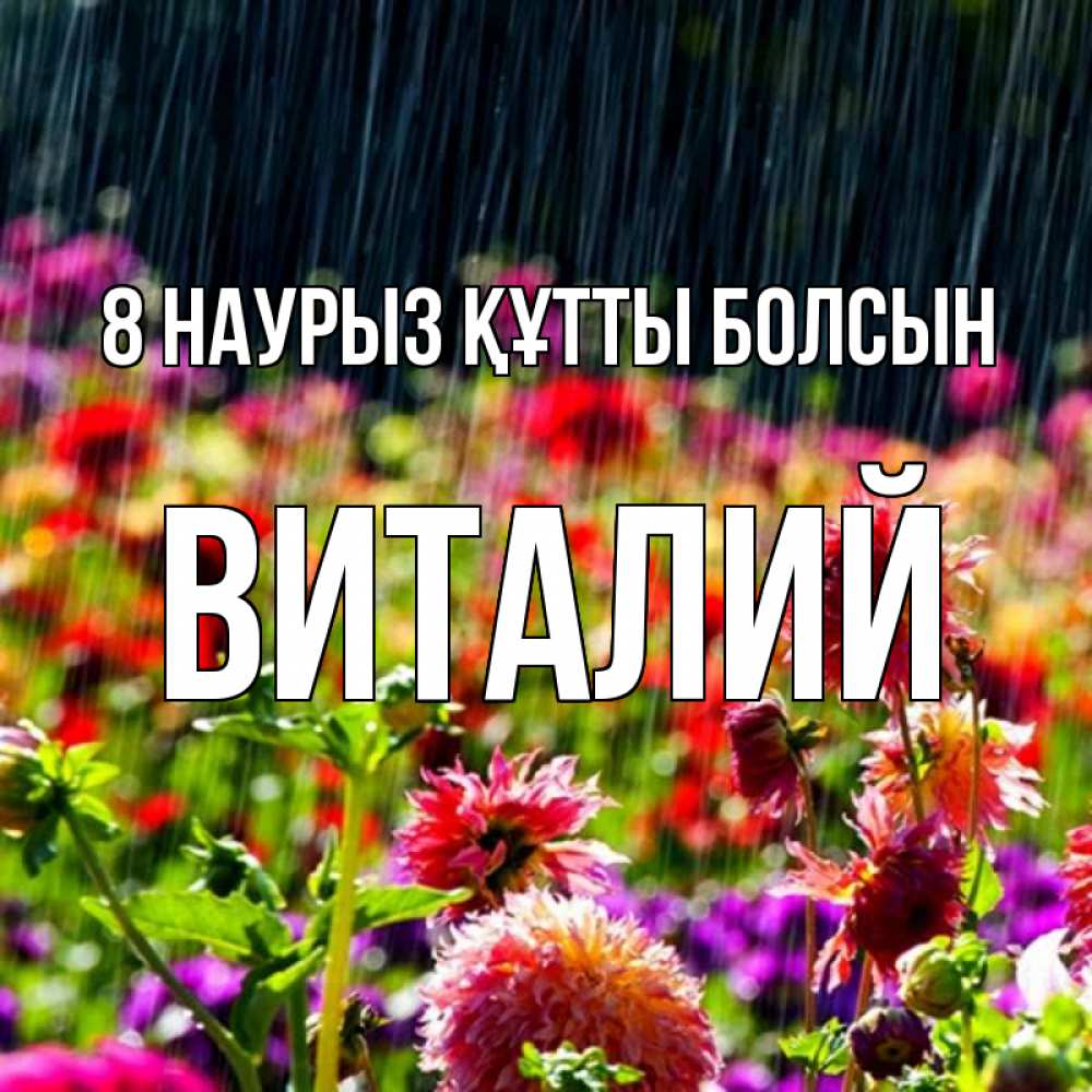 Күн сайын ашық хат с именем, Виталий 8 наурыз құтты болсын цветы под дождиком к международному женскому дню Онлайн тегін жүктеп алу тілектері бар керемет карта 