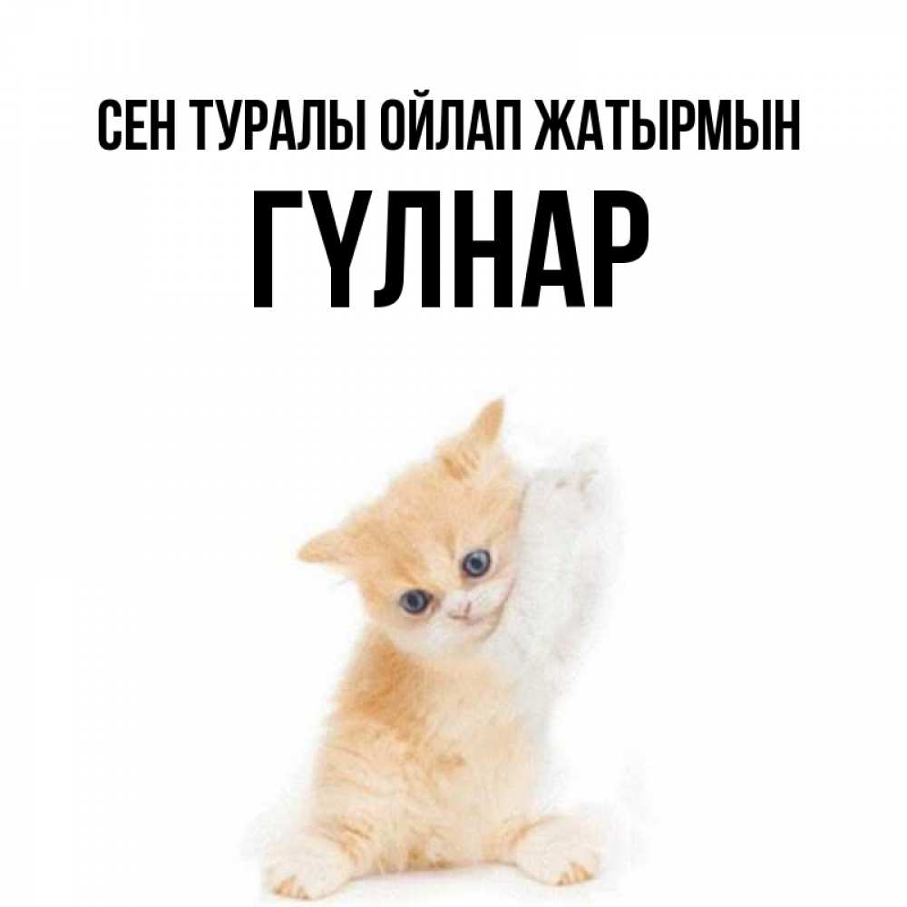 Күн сайын ашық хат с именем, ГҮЛНАР Сен туралы ойлап жатырмын зверушки и милота Онлайн тегін жүктеп алу тілектері бар керемет карта 