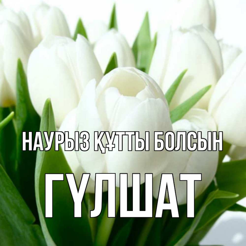 Күн сайын ашық хат с именем, ГҮЛШАТ Наурыз құтты болсын цветы Онлайн тегін жүктеп алу тілектері бар керемет карта 