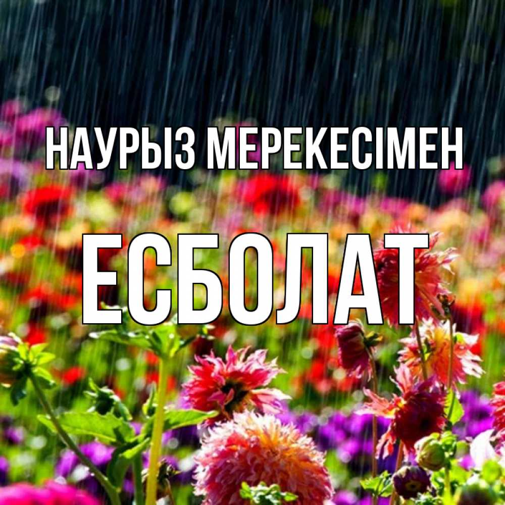 Күн сайын ашық хат с именем, Есболат Наурыз мерекесімен цветы под дождиком к международному женскому дню Онлайн тегін жүктеп алу тілектері бар керемет карта 