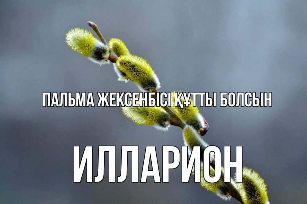 Күн сайын ашық хат с именем, Илларион Пальма жексенбісі құтты болсын верба Онлайн тегін жүктеп алу тілектері бар керемет карта 