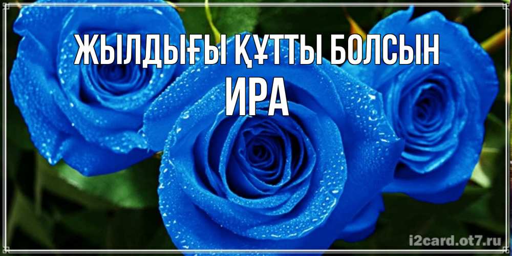 Күн сайын ашық хат с именем, Ира Жылдығы құтты болсын розы с синим цветом Онлайн тегін жүктеп алу тілектері бар керемет карта 