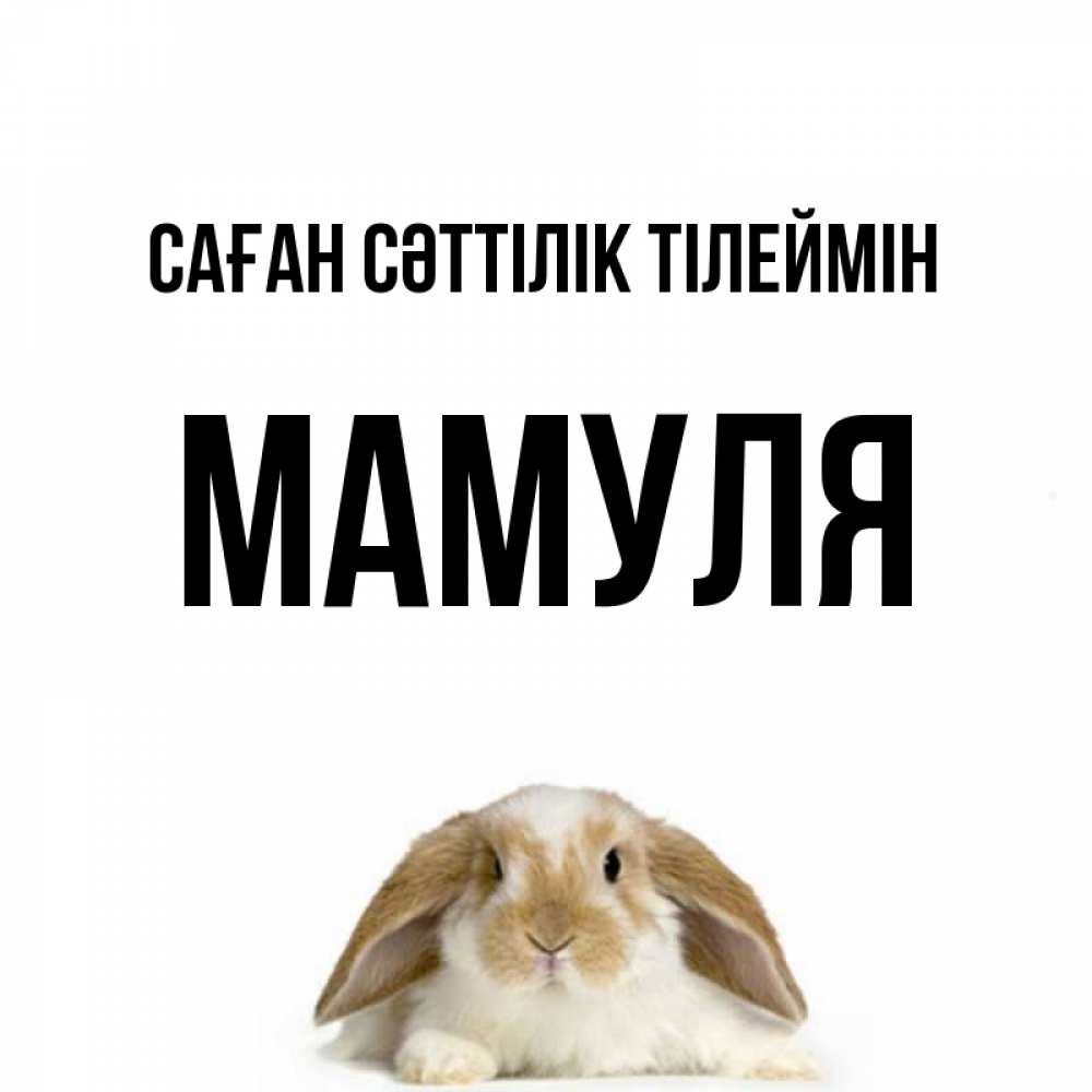 Күн сайын ашық хат с именем, Мамуля Саған сәттілік тілеймін открытки с произвольным текстом который можно вставить в открытку и создать ее самостоятельно бесплатно онлайн Онлайн тегін жүктеп алу тілектері бар керемет карта 