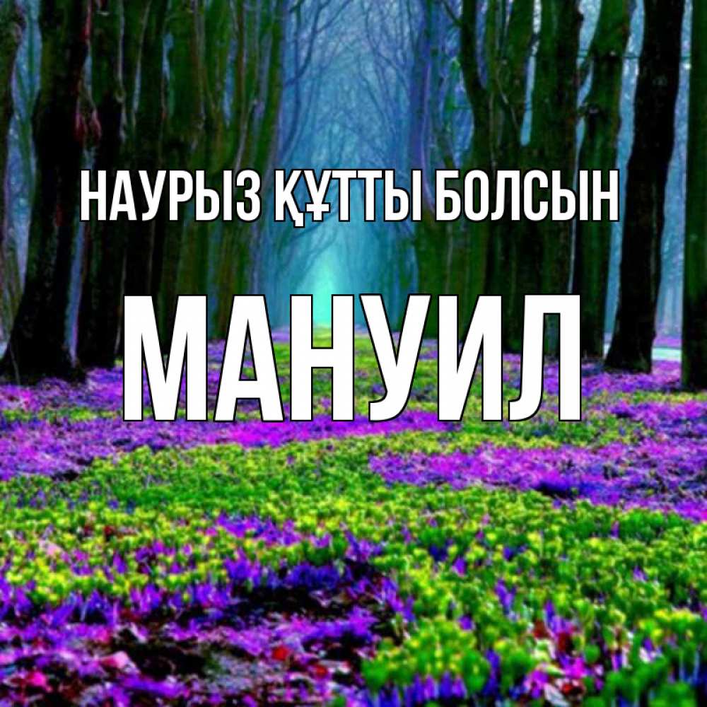 Күн сайын ашық хат с именем, Мануил Наурыз құтты болсын фиолетовые цветы в лесу 1 Онлайн тегін жүктеп алу тілектері бар керемет карта 