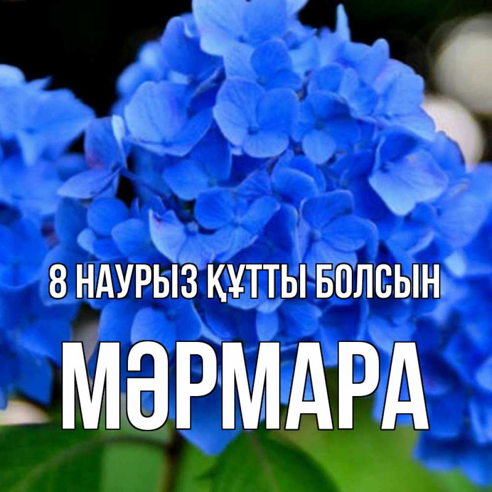 Күн сайын ашық хат с именем, МӘРМАРА 8 наурыз құтты болсын синие цветы Онлайн тегін жүктеп алу тілектері бар керемет карта 