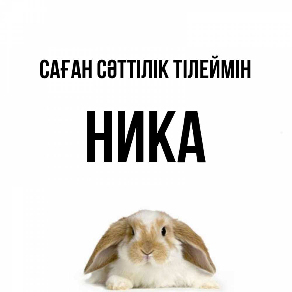 Күн сайын ашық хат с именем, Ника Саған сәттілік тілеймін открытки с произвольным текстом который можно вставить в открытку и создать ее самостоятельно бесплатно онлайн Онлайн тегін жүктеп алу тілектері бар керемет карта 
