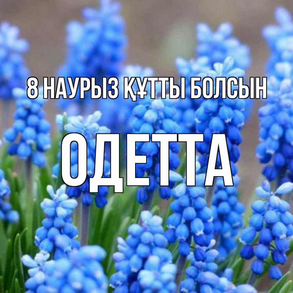 Күн сайын ашық хат с именем, Одетта 8 наурыз құтты болсын Поздравительная открытка для женщин с цветами на праздничную дату Онлайн тегін жүктеп алу тілектері бар керемет карта 