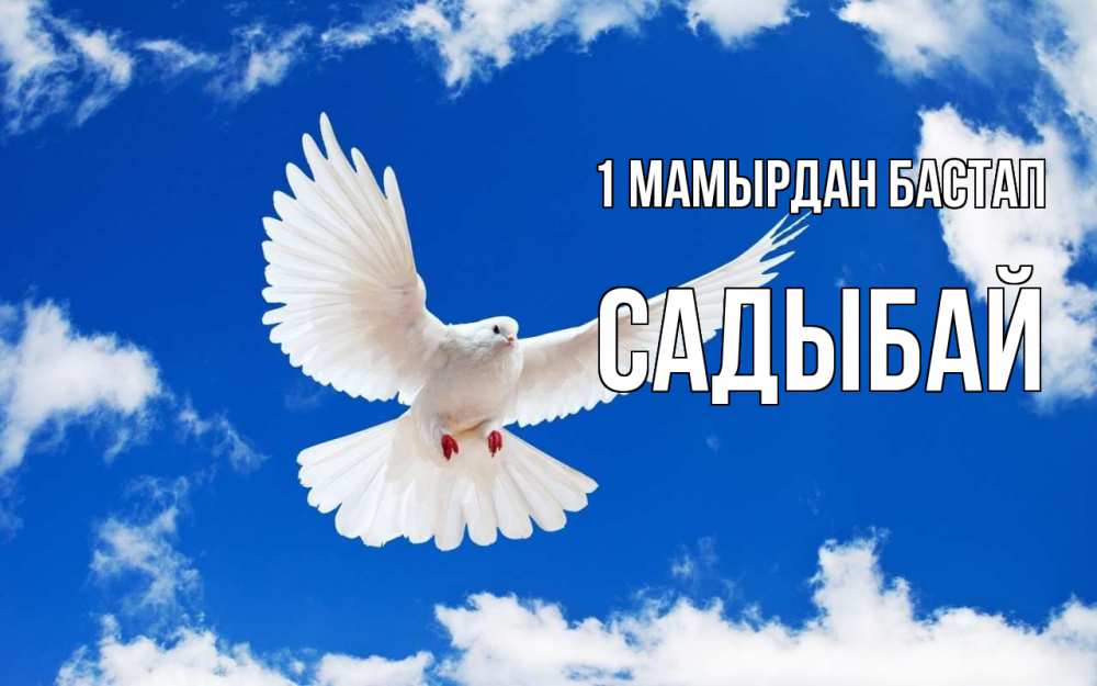 Күн сайын ашық хат с именем, САДЫБАЙ 1 мамырдан бастап С 1 мая 1 Онлайн тегін жүктеп алу тілектері бар керемет карта 