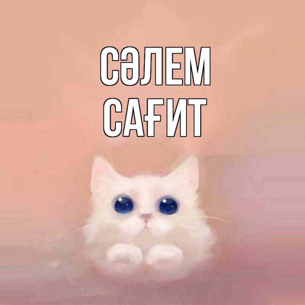 Күн сайын ашық хат с именем, САҒИТ Сәлем котик белый в полете Онлайн тегін жүктеп алу тілектері бар керемет карта 