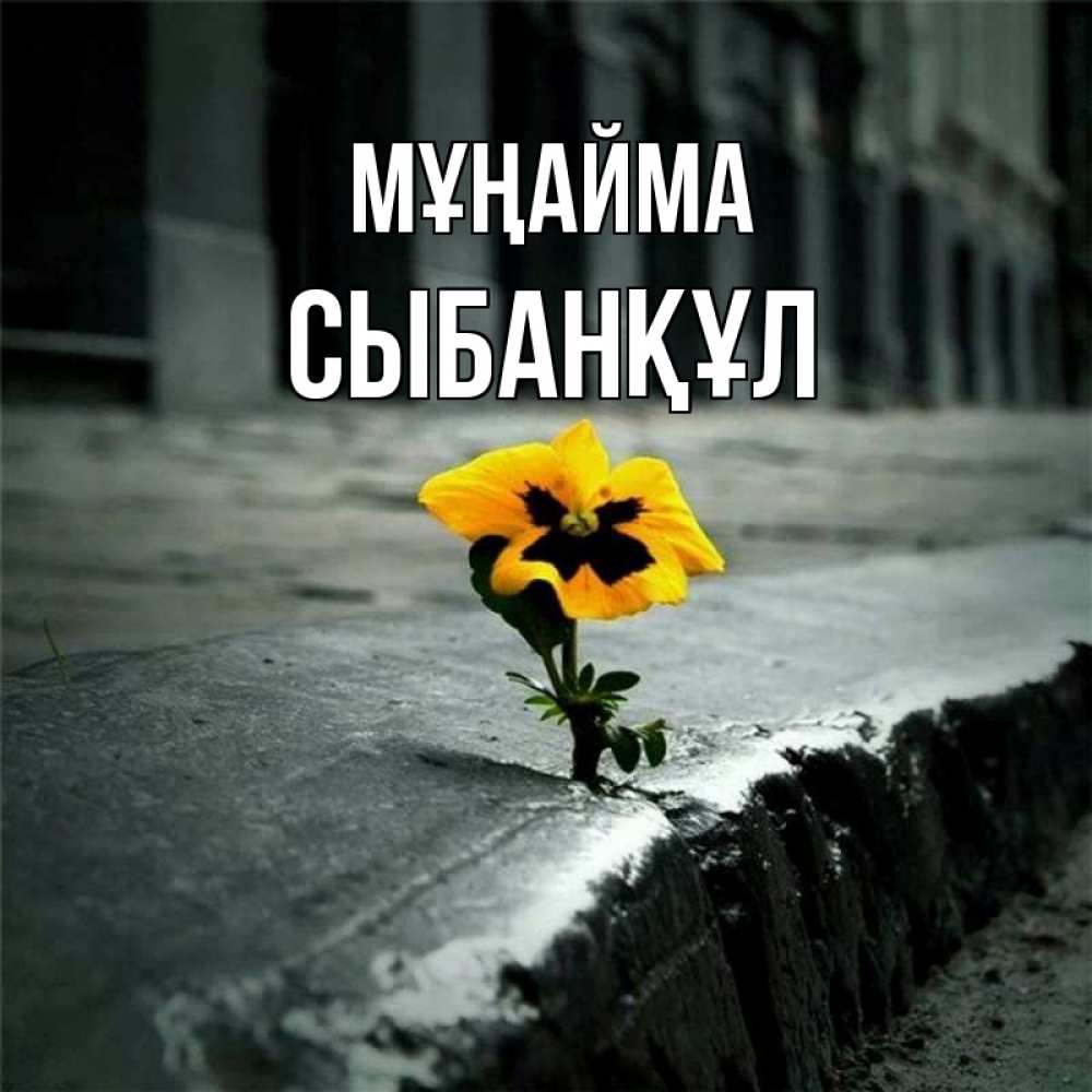 Күн сайын ашық хат с именем, СЫБАНҚҰЛ Мұңайма не сдавайся Онлайн тегін жүктеп алу тілектері бар керемет карта 