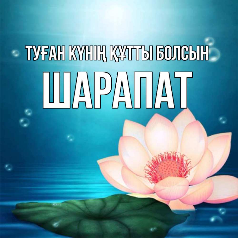 Күн сайын ашық хат с именем, ШАРАПАТ Туған күнің құтты болсын кувшинка Онлайн тегін жүктеп алу тілектері бар керемет карта 
