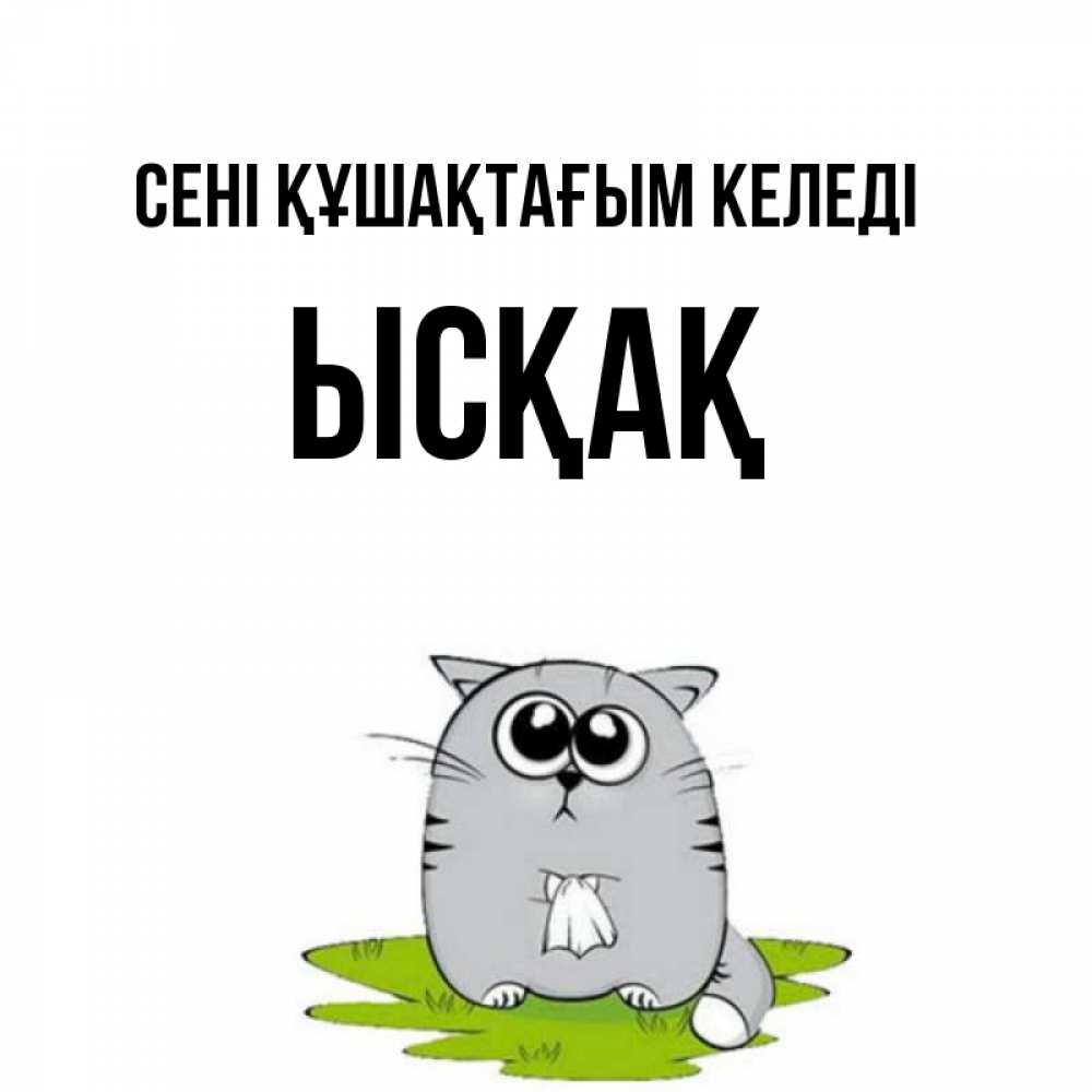 Күн сайын ашық хат с именем, ЫСҚАҚ сені құшақтағым келеді котик теребит платочек сидя на травке Онлайн тегін жүктеп алу тілектері бар керемет карта 