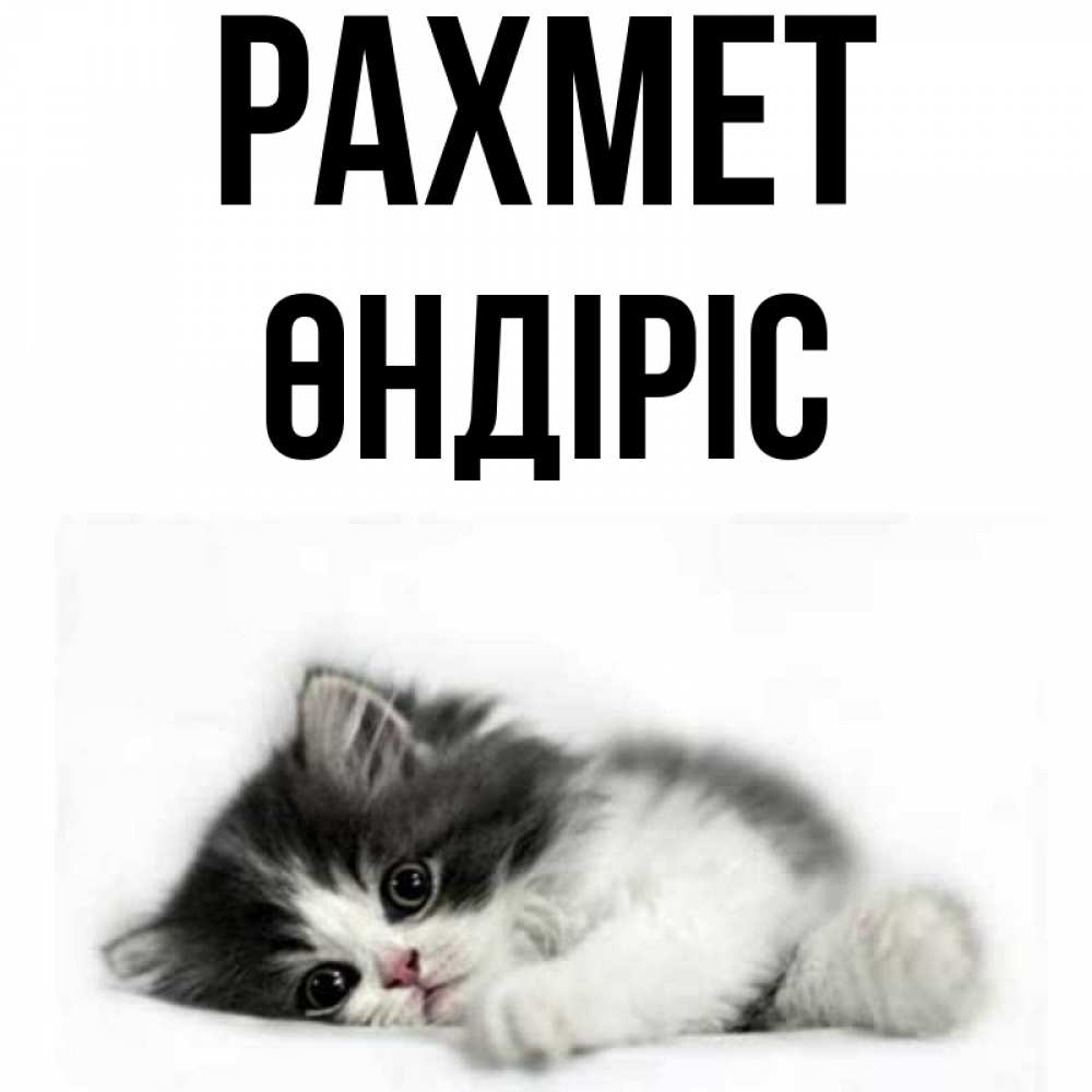 Күн сайын ашық хат с именем, ӨНДІРІС рахмет черный и белый кот Онлайн тегін жүктеп алу тілектері бар керемет карта 