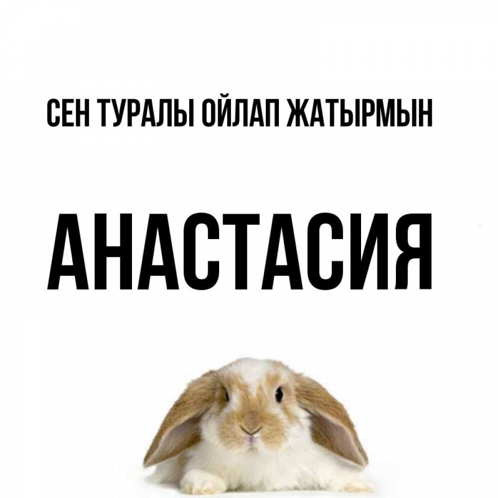 Күн сайын ашық хат с именем, Анастасия Сен туралы ойлап жатырмын подписать своими руками онлайн Онлайн тегін жүктеп алу тілектері бар керемет карта 