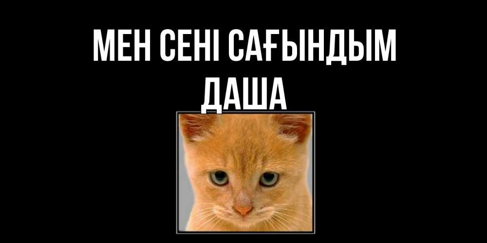 Күн сайын ашық хат с именем, Даша Мен сені сағындым открытки рыжий котенок скучает по тебе Онлайн тегін жүктеп алу тілектері бар керемет карта 