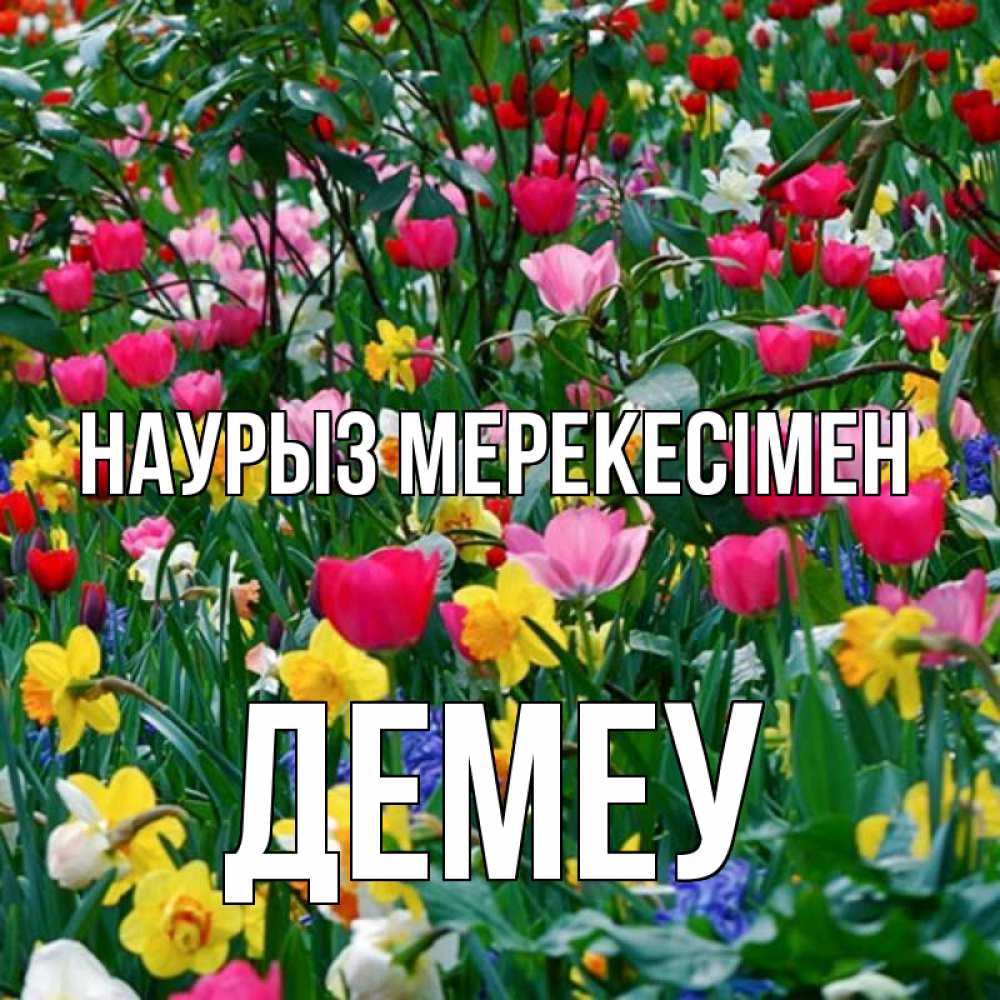 Күн сайын ашық хат с именем, Демеу Наурыз мерекесімен с наурызом праздником весны поздравления для женщины Онлайн тегін жүктеп алу тілектері бар керемет карта 