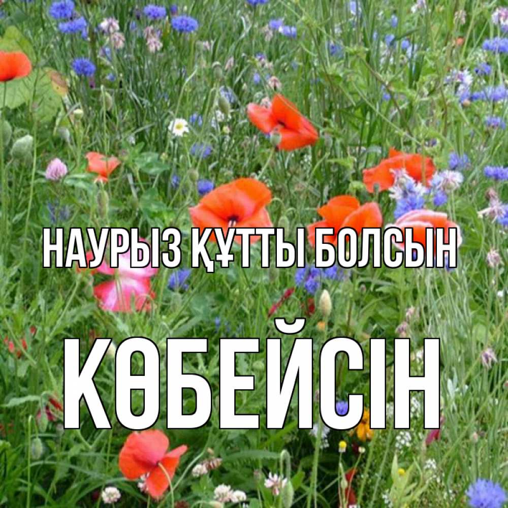 Күн сайын ашық хат с именем, Көбейсін Наурыз құтты болсын наурыз  4 Онлайн тегін жүктеп алу тілектері бар керемет карта 