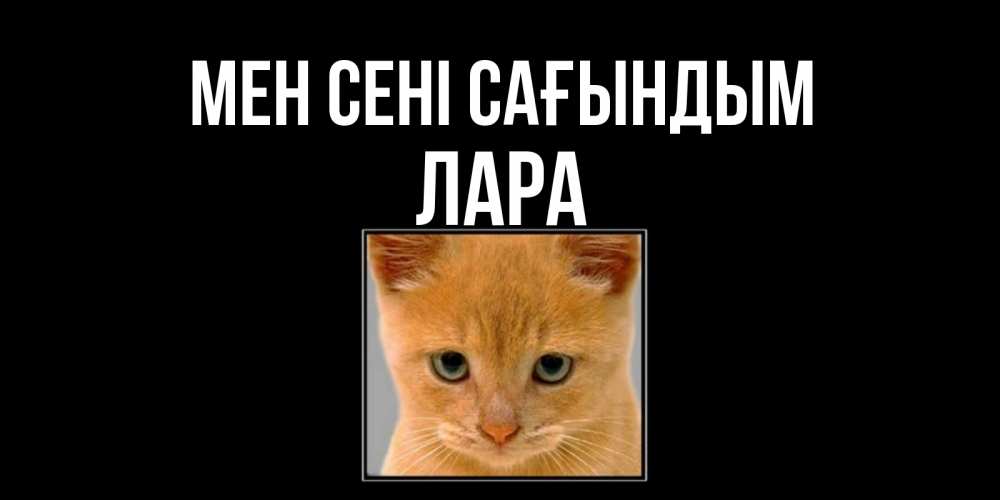 Күн сайын ашық хат с именем, Лара Мен сені сағындым открытки рыжий котенок скучает по тебе Онлайн тегін жүктеп алу тілектері бар керемет карта 