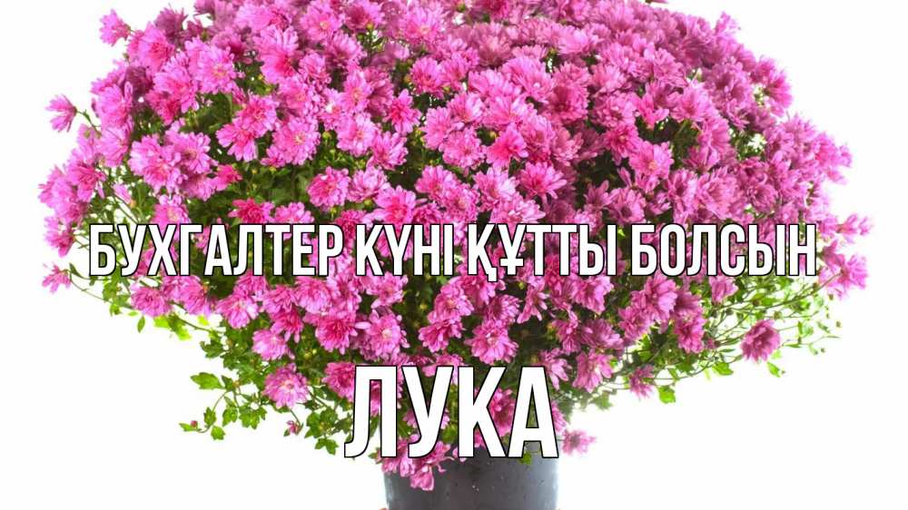 Күн сайын ашық хат с именем, Лука бухгалтер күні құтты болсын с днем бухгалтера Онлайн тегін жүктеп алу тілектері бар керемет карта 