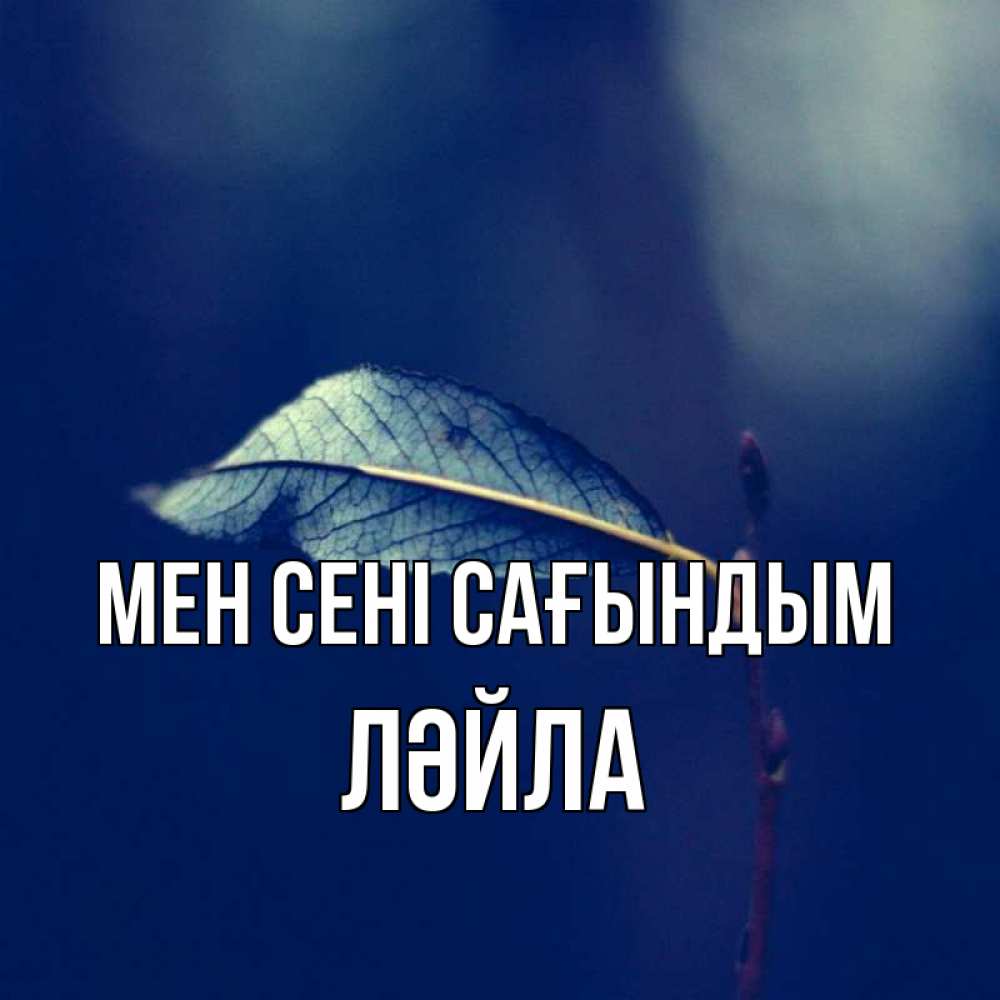Күн сайын ашық хат с именем, ЛӘЙЛА Мен сені сағындым одна ветка 1 Онлайн тегін жүктеп алу тілектері бар керемет карта 