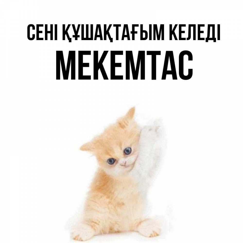 Күн сайын ашық хат с именем, МЕКЕМТАС сені құшақтағым келеді я хочу очень скорее обнимаешек Онлайн тегін жүктеп алу тілектері бар керемет карта 