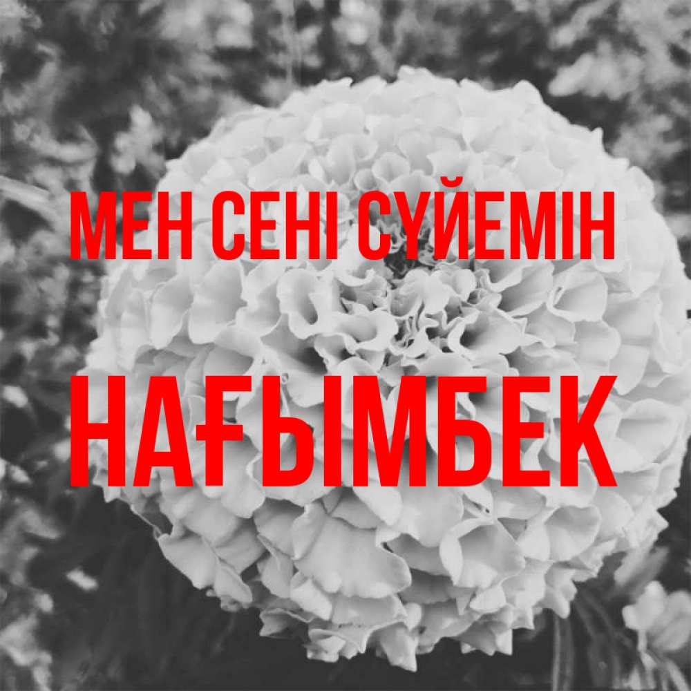 Күн сайын ашық хат с именем, НАҒЫМБЕК Мен сені сүйемін подпись Онлайн тегін жүктеп алу тілектері бар керемет карта 