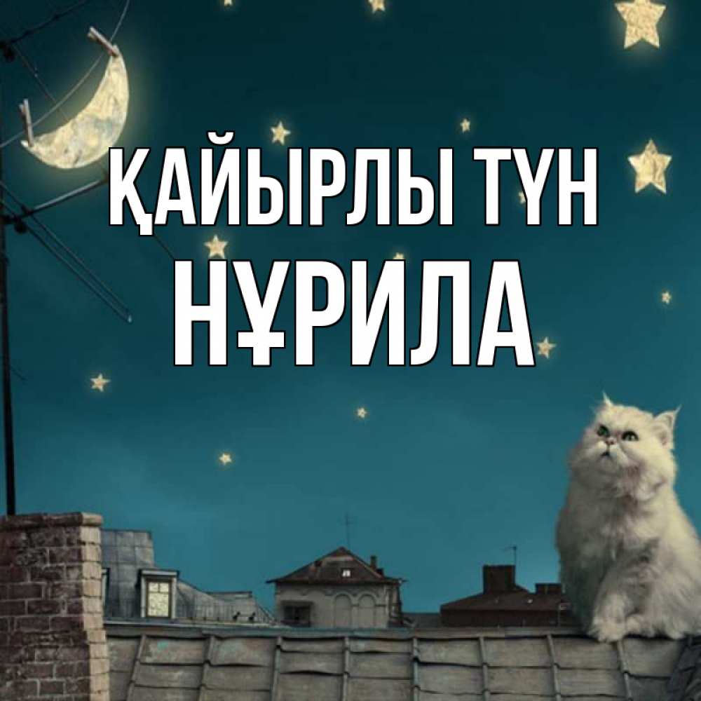Күн сайын ашық хат с именем, НҰРИЛА Қайырлы түн белый кот сидит на крыше Онлайн тегін жүктеп алу тілектері бар керемет карта 