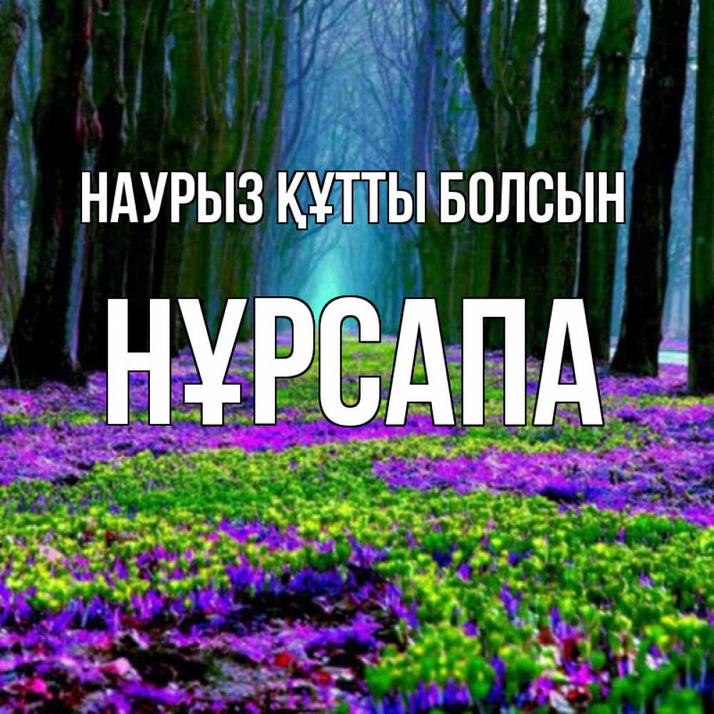 Күн сайын ашық хат с именем, НҰРСАПА Наурыз құтты болсын фиолетовые цветы в лесу 1 Онлайн тегін жүктеп алу тілектері бар керемет карта 