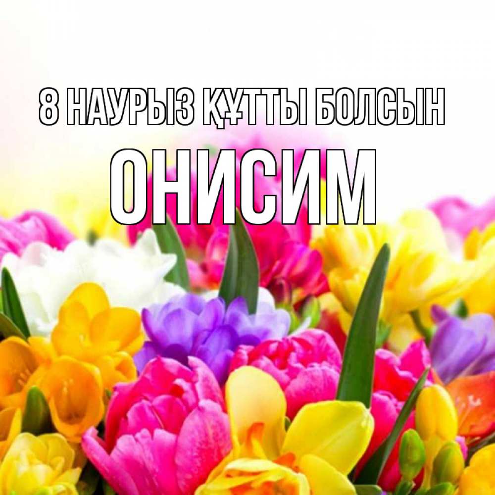 Күн сайын ашық хат с именем, Онисим 8 наурыз құтты болсын тюльпаны Онлайн тегін жүктеп алу тілектері бар керемет карта 