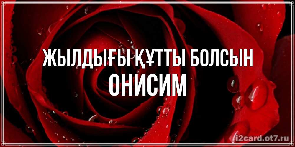 Күн сайын ашық хат с именем, Онисим Жылдығы құтты болсын крупная бордовая роза Онлайн тегін жүктеп алу тілектері бар керемет карта 