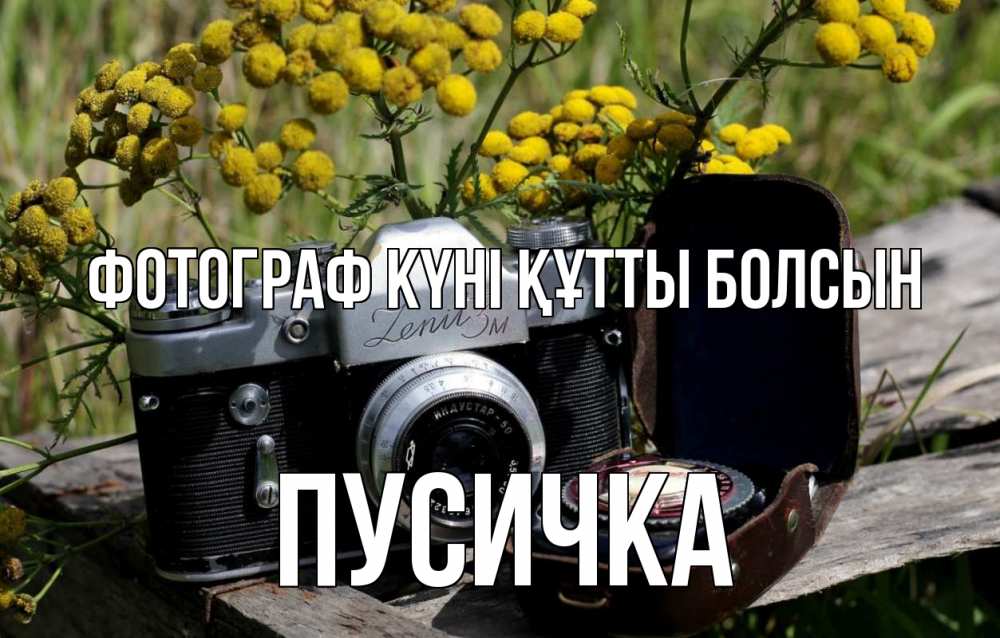 Күн сайын ашық хат с именем, Пусичка Фотограф күні құтты болсын с днем фотографа Онлайн тегін жүктеп алу тілектері бар керемет карта 