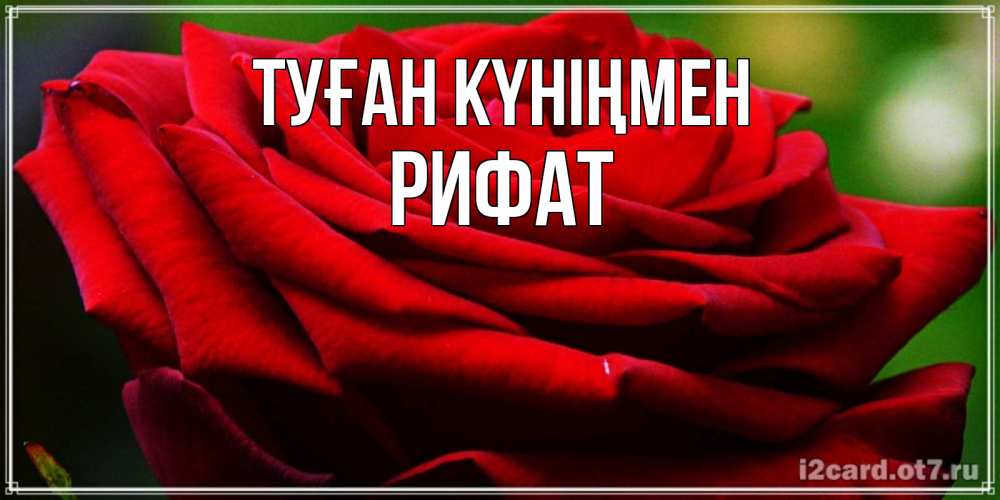 Күн сайын ашық хат с именем, Рифат Туған күніңмен розочка очень красивая Онлайн тегін жүктеп алу тілектері бар керемет карта 