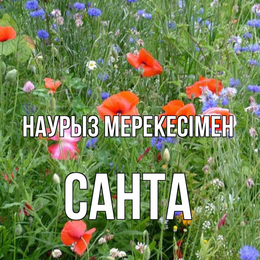 Күн сайын ашық хат с именем, Санта Наурыз мерекесімен праздник весны наурыз супер открытка Онлайн тегін жүктеп алу тілектері бар керемет карта 