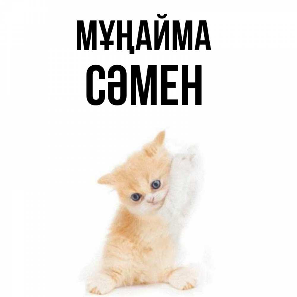 Күн сайын ашық хат с именем, СӘМЕН Мұңайма просящий кот Онлайн тегін жүктеп алу тілектері бар керемет карта 
