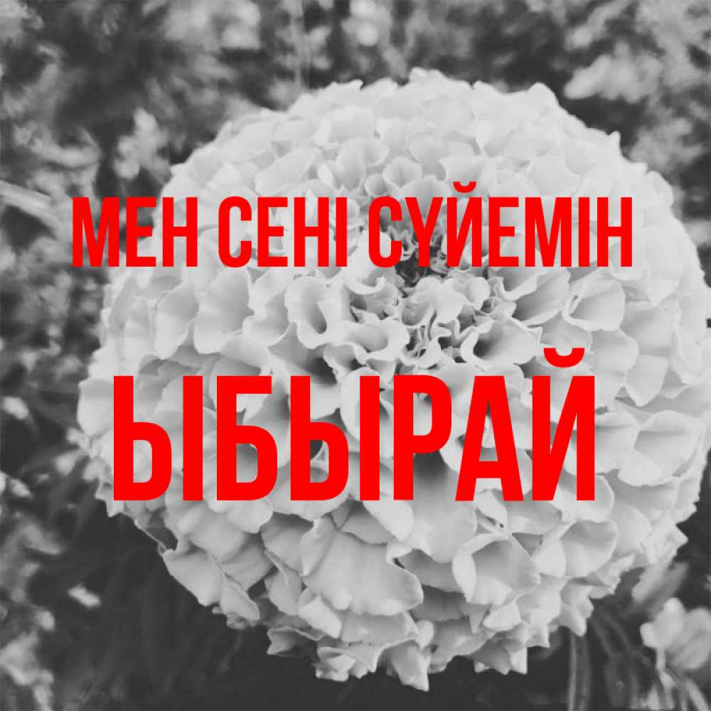 Күн сайын ашық хат с именем, ЫБЫРАЙ Мен сені сүйемін подпись Онлайн тегін жүктеп алу тілектері бар керемет карта 