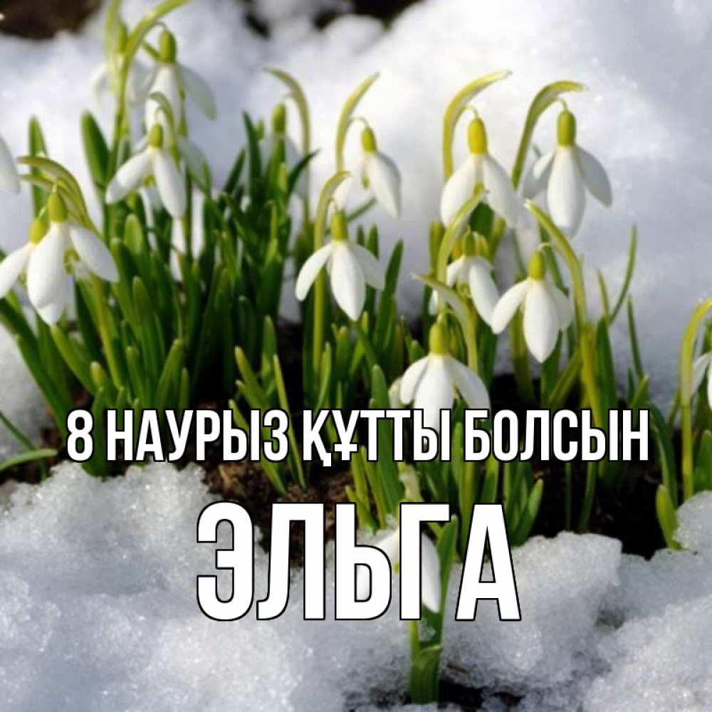 Күн сайын ашық хат с именем, Эльга 8 наурыз құтты болсын цветы весенние Онлайн тегін жүктеп алу тілектері бар керемет карта 