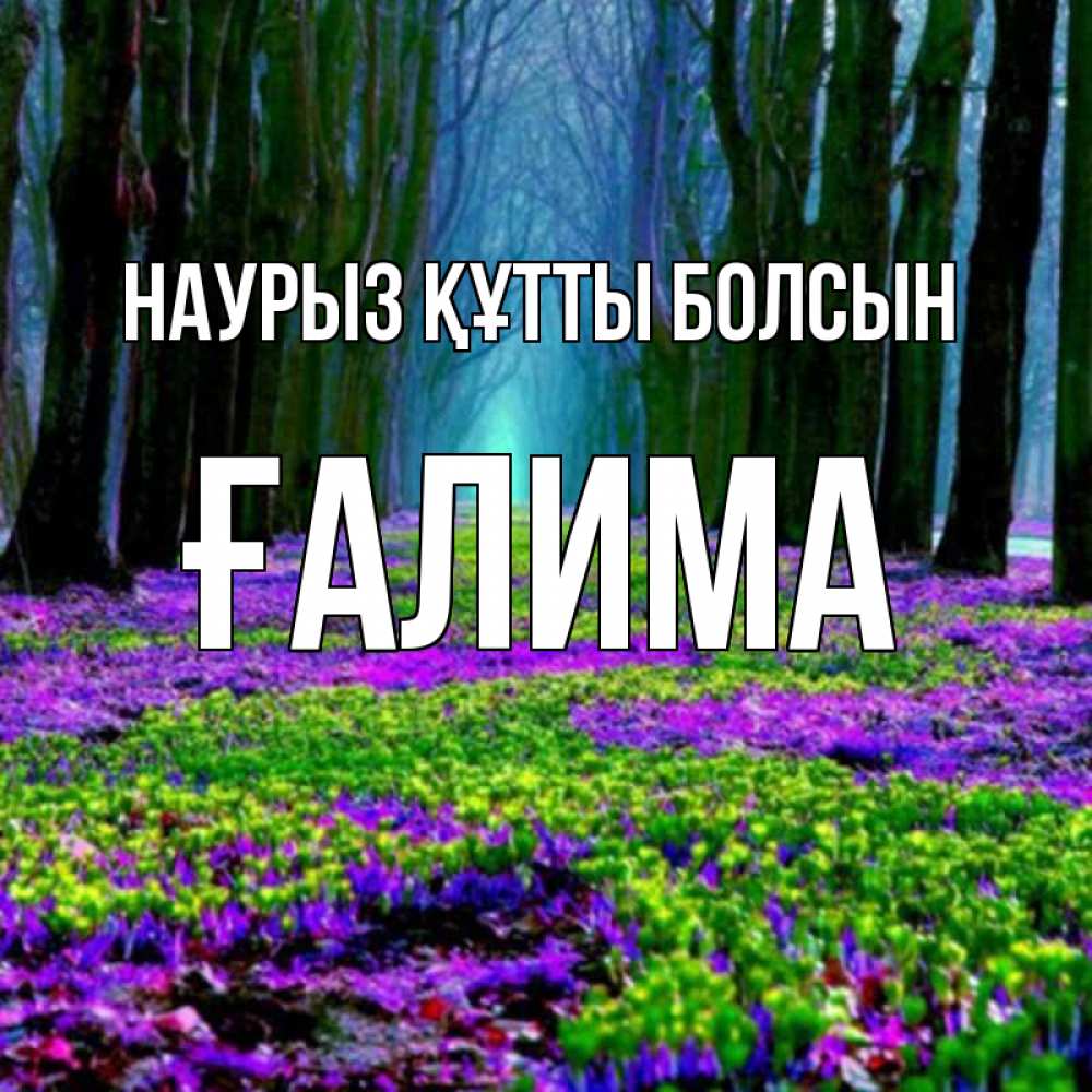 Күн сайын ашық хат с именем, ҒАЛИМА Наурыз құтты болсын фиолетовые цветы в лесу 1 Онлайн тегін жүктеп алу тілектері бар керемет карта 
