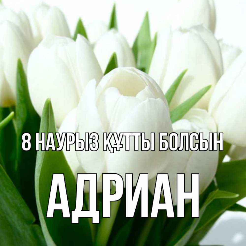 Күн сайын ашық хат с именем, Адриан 8 наурыз құтты болсын цветы Онлайн тегін жүктеп алу тілектері бар керемет карта 