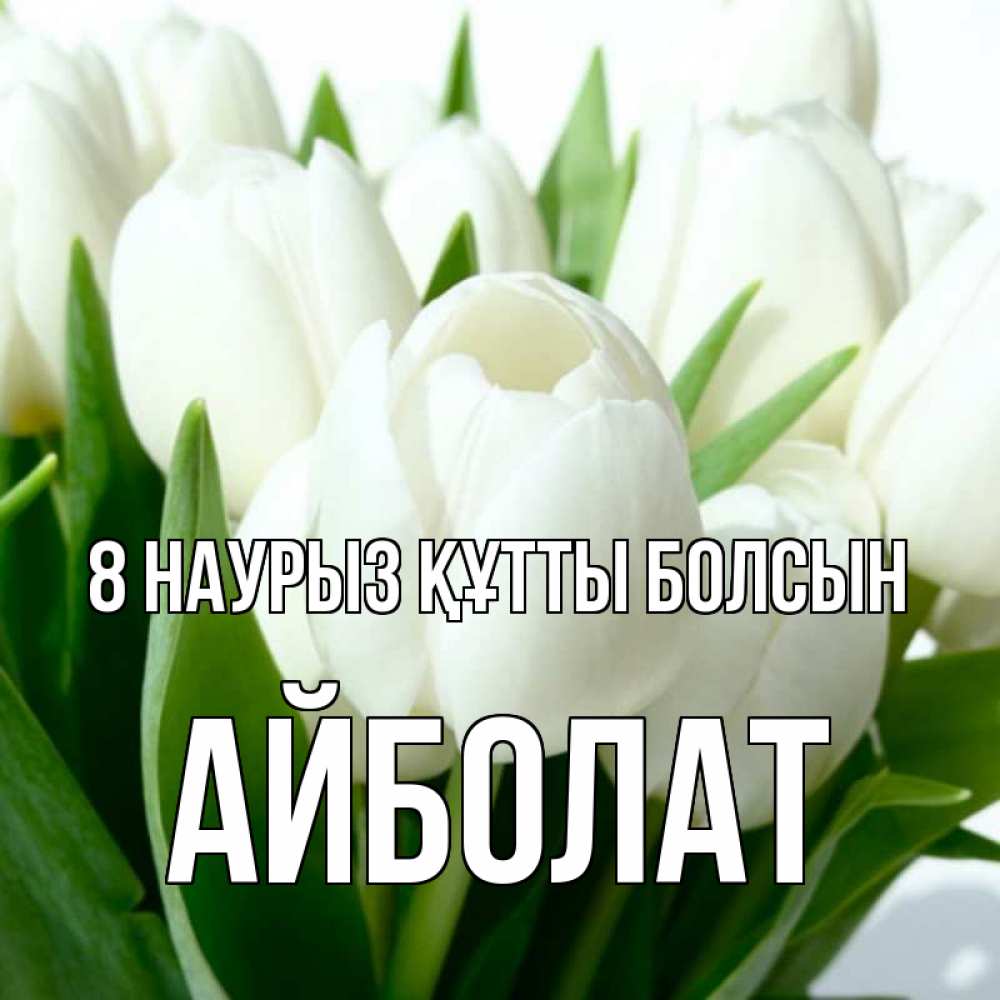 Күн сайын ашық хат с именем, Айболат 8 наурыз құтты болсын цветы Онлайн тегін жүктеп алу тілектері бар керемет карта 