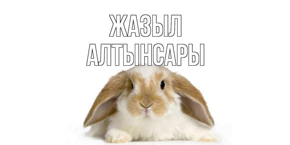Күн сайын ашық хат с именем, Алтынсары Жазыл вислоухий кролик белого и коричневого цвета Онлайн тегін жүктеп алу тілектері бар керемет карта 