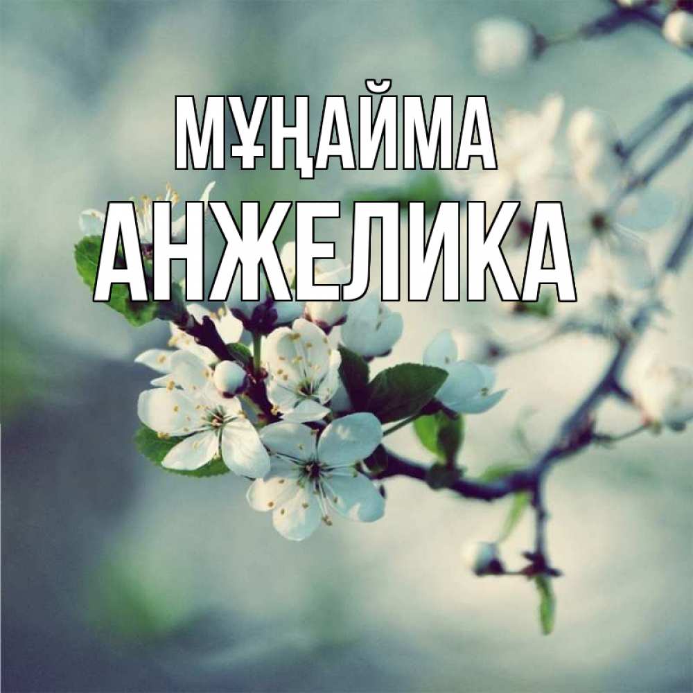 Күн сайын ашық хат с именем, Анжелика Мұңайма яблоня в цвету 1 Онлайн тегін жүктеп алу тілектері бар керемет карта 