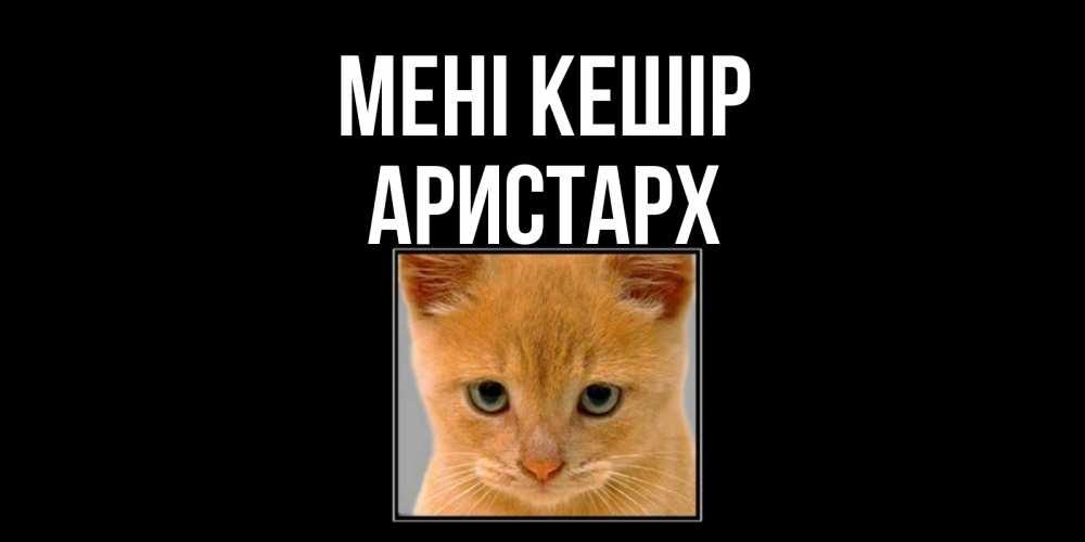 Күн сайын ашық хат с именем, Аристарх Мені кешір рыжий грустный кот просит прощения Онлайн тегін жүктеп алу тілектері бар керемет карта 