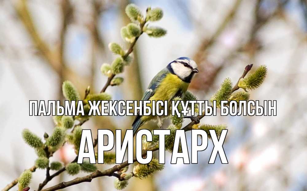 Күн сайын ашық хат с именем, Аристарх Пальма жексенбісі құтты болсын верба Онлайн тегін жүктеп алу тілектері бар керемет карта 